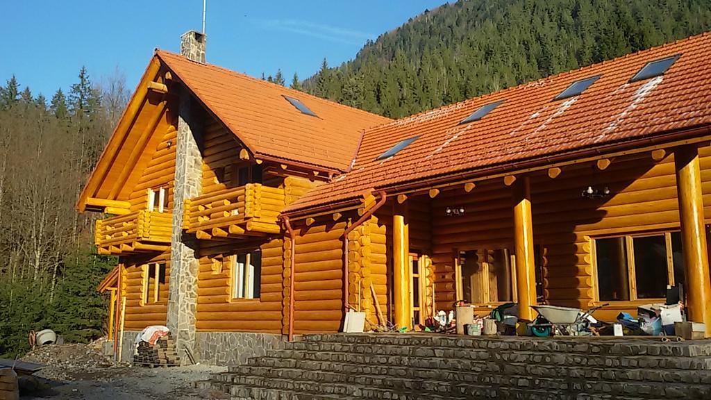 Pensiunea Izbucul Tauz Ghetari Exterior foto